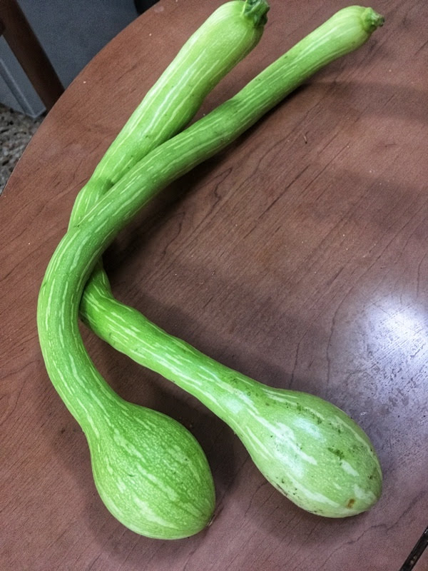 Courgette carpaccio homemade recipe - Makergardener