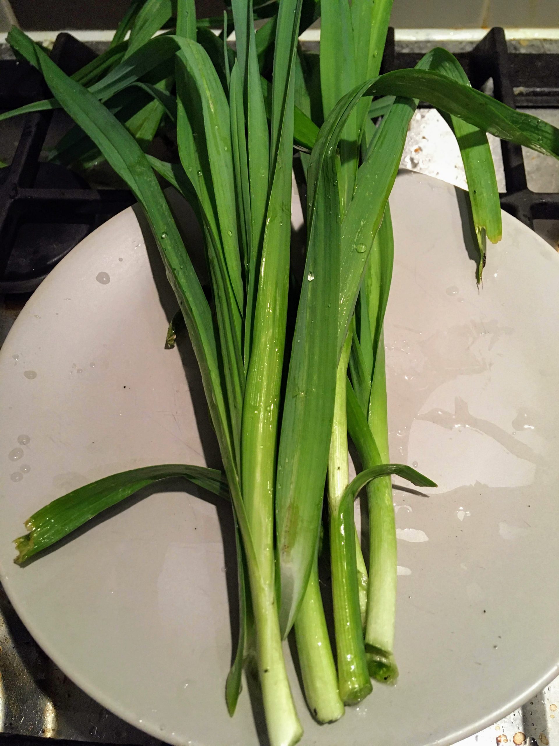 Growing and harvesting garlic chives Makergardener